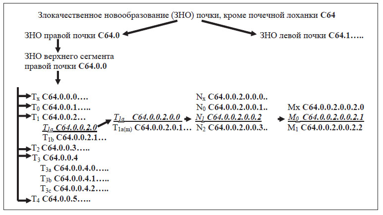 Формирование диагноза «Рак верхнего сегмента правой почки T1aN,M0» (клинический код C64.0.0.2.0.0.2.1)