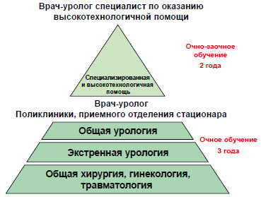 Рисунок 1. Этапы обучения врача уролога.